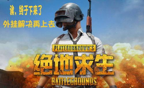 瓜仔吃鸡水平,从新手到高手的进阶之路