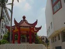 泉州培元中学吃瓜,探寻泉州培元中学的“吃瓜”文化现象