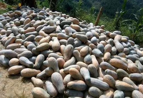 云南吃瓜群众缅北,一场跨境美食与文化的碰撞