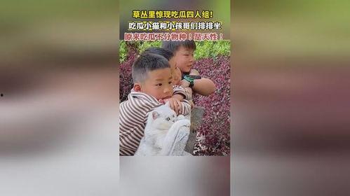 吃瓜4,娱乐圈背后的故事与真相