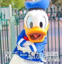 吃瓜神句,揭秘娱乐圈背后的那些事儿