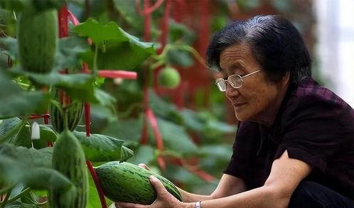 院士吃瓜,揭秘学术界的“瓜田”趣闻