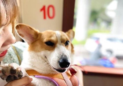 吃瓜最新爆料小鹿酱