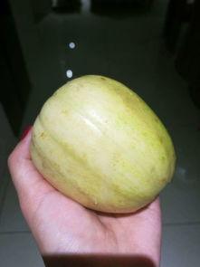 春玲吃的瓜