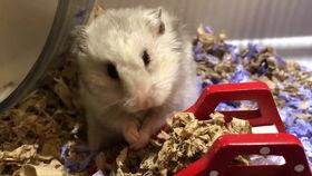 小仙女吃瓜群,揭秘娱乐圈幕后故事