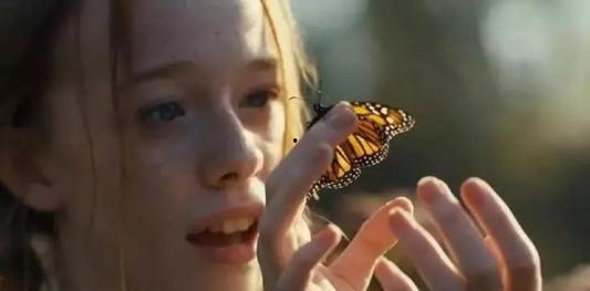 小安妮吃瓜事件,网络热议背后的真相与反思