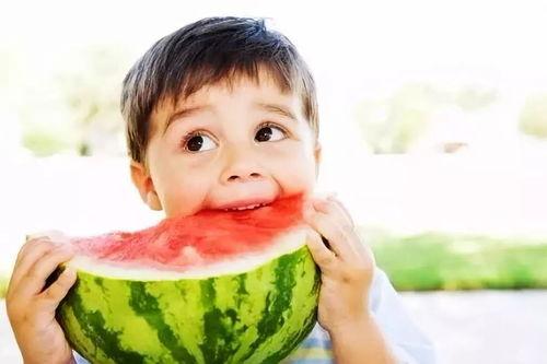 吃瓜吃瓜雪兔,揭秘冬日里的甜蜜生活