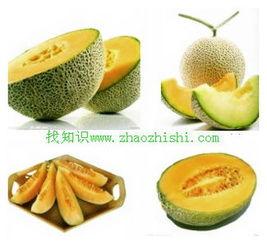 哈密瓜反酸性胃炎可否吃,适宜与禁忌