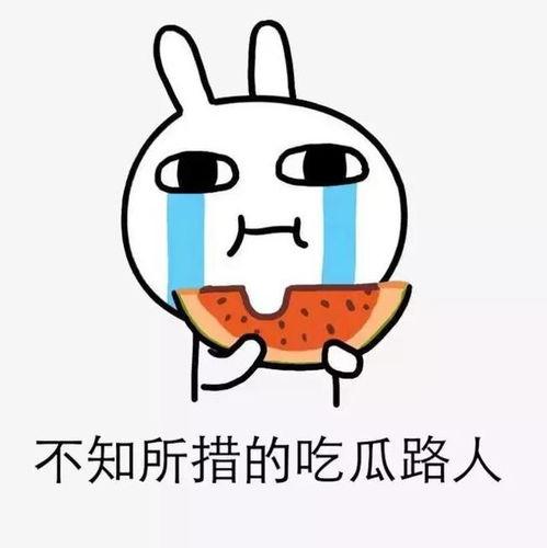 吃瓜盟主背书风波,揭秘网络舆论的蝴蝶效应