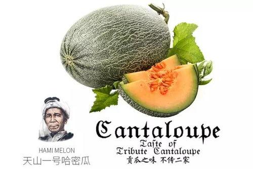 是小朱吖吃瓜,揭秘娱乐圈那些不为人知的幕后故事