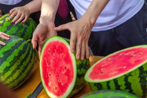 青海大学视频吃瓜,视频里的瓜果飘香