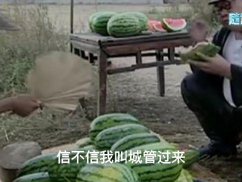 吃瓜的爹,网络红人背后的故事与影响力