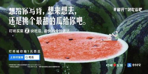 节日吃瓜文案,节日吃瓜文案大盘点