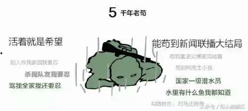 带你吃瓜黑色鸡,带你品尝独特风味——黑色鸡