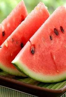 邹城疫情期间吃瓜,瓜田里的温暖与力量