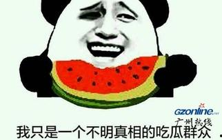 瞎眼的吃瓜群众,瞎眼吃瓜群众视角下的娱乐圈风云录