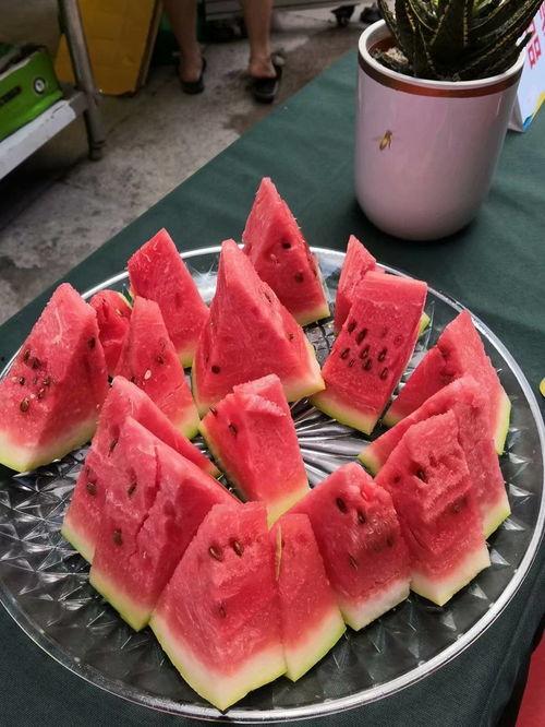 吃宁夏沙瓜,沙漠中的甘露，舌尖上的甜蜜之旅