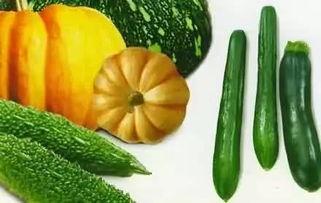 微信的吃瓜,那些你不知道的幕后故事