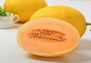 吃哈密瓜肠胃,肠胃健康的甜蜜守护