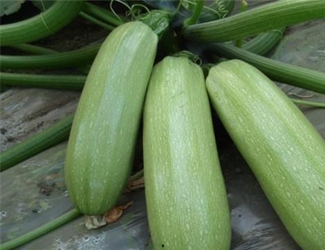 樱西吃瓜,揭秘娱乐圈背后的秘密与真相