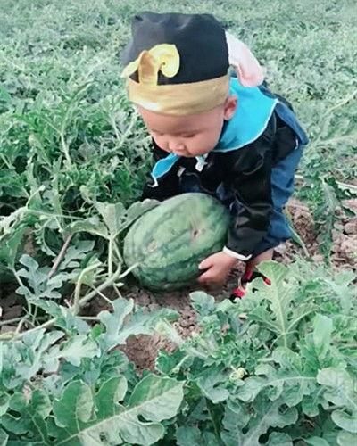 婆婆妈吃瓜,揭秘娱乐圈背后的故事