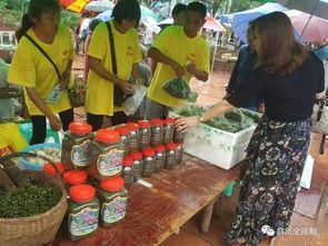 老洪吃瓜,揭秘娱乐圈那些不为人知的幕后故事