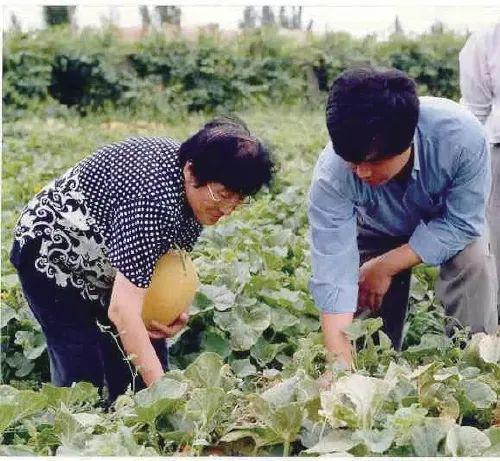 财务助理吃瓜,揭秘职场八卦背后的财务智慧