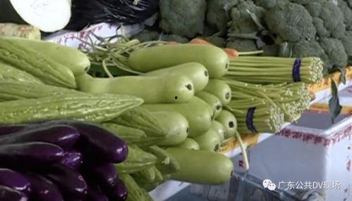 莱州吃瓜中毒,揭秘夏日美食背后的安全隐患