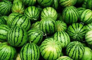 吃瓜群手机壁纸图片,揭秘吃瓜群手机壁纸背后的故事