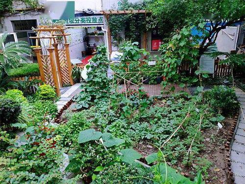 南湖古城小区吃瓜,邻里吃瓜趣事，共度欢乐时光