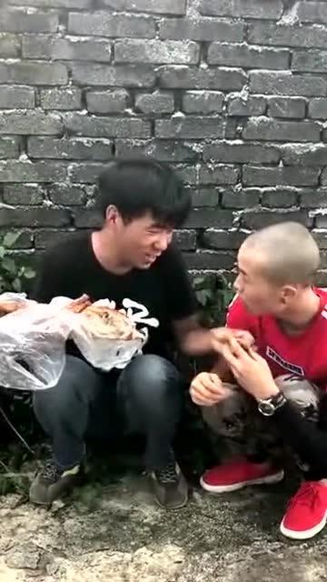 红雀兄弟吃瓜,红雀兄弟的瓜田奇遇记