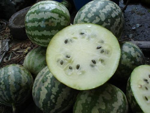 吃绿宝瓜胖吗,美味与健康的完美结合，吃它真的会胖吗？