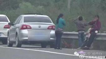 吃瓜群众停车拍照违法吗,违法还是合理？法律边界解析