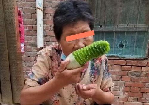 婆婆儿媳吃瓜,笑料百出，家庭和谐新篇章