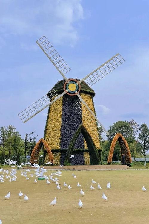 吃瓜著名打卡地椅子,揭秘吃瓜打卡地的魅力所在