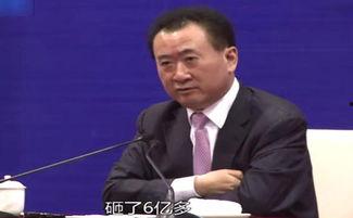 吃瓜群众王健林,吃瓜群众的财富传奇