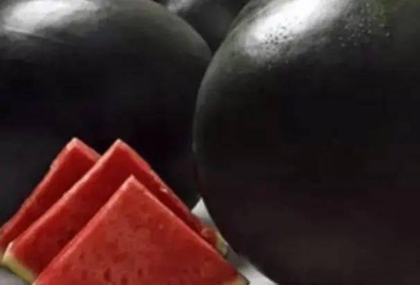 吃瓜黑色背景,揭秘黑色背景下的神秘世界