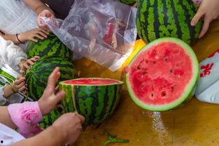 国外吃瓜视频,揭秘国外吃瓜视频背后的文化现象