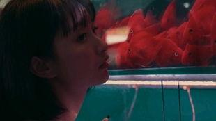 被窝女孩吃瓜,揭秘网络吃瓜文化背后的故事