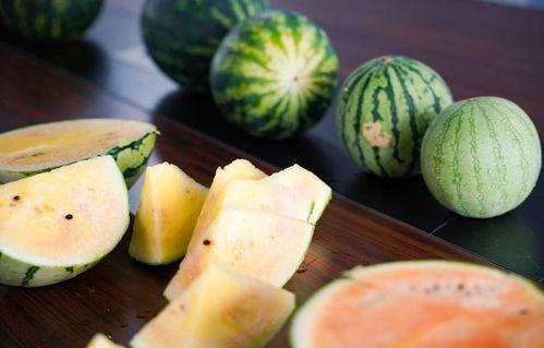 浙工院吃瓜,揭秘校园热点背后的真相