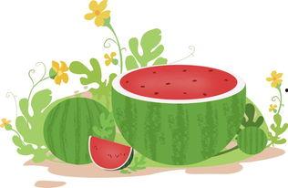 吃瓜and喝水,品味生活点滴