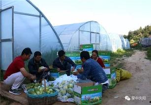 豆瓣海陵区吃瓜群众,揭秘本地美食风云录