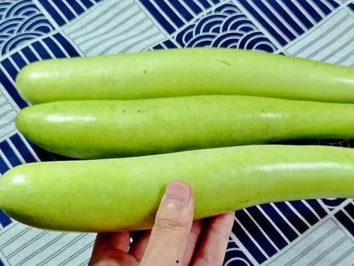 9.1吃瓜今日吃瓜必吃,今日必尝的瓜界盛宴