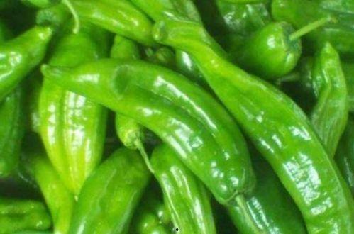 鲨鱼辣椒吃瓜,辣度对决，谁将笑到最后？