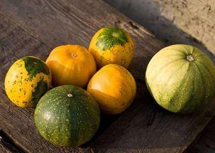 幼儿常吃高瓜好吗,高瓜的营养益处与食用建议